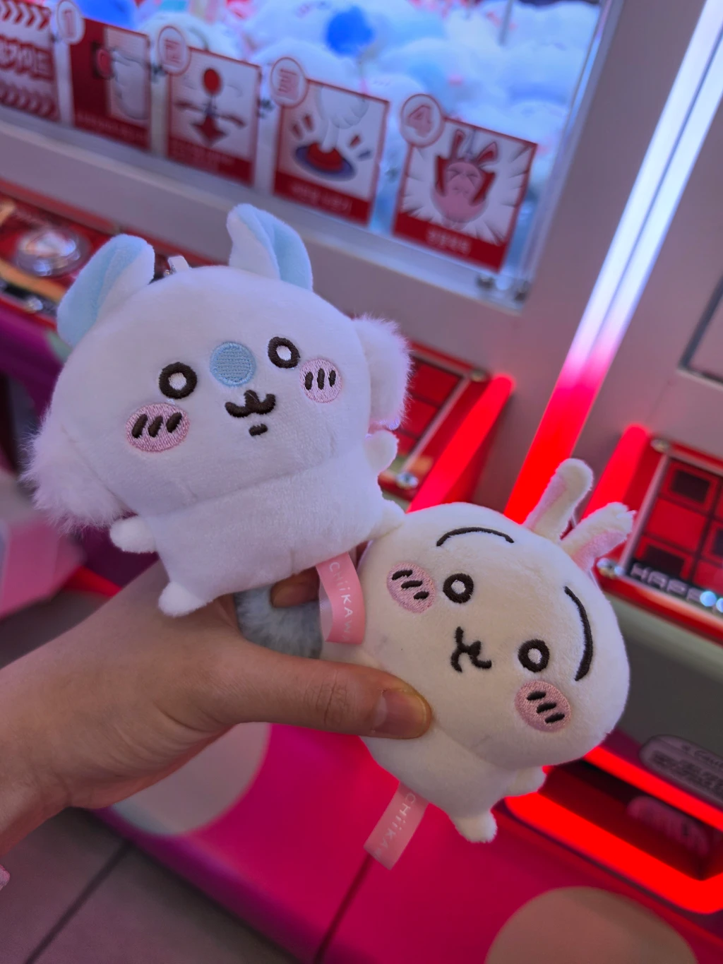 쿠보 방문 후기 사진