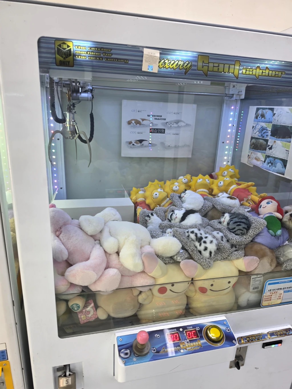 뽀끼뽀꼬 사용자 등록 사진