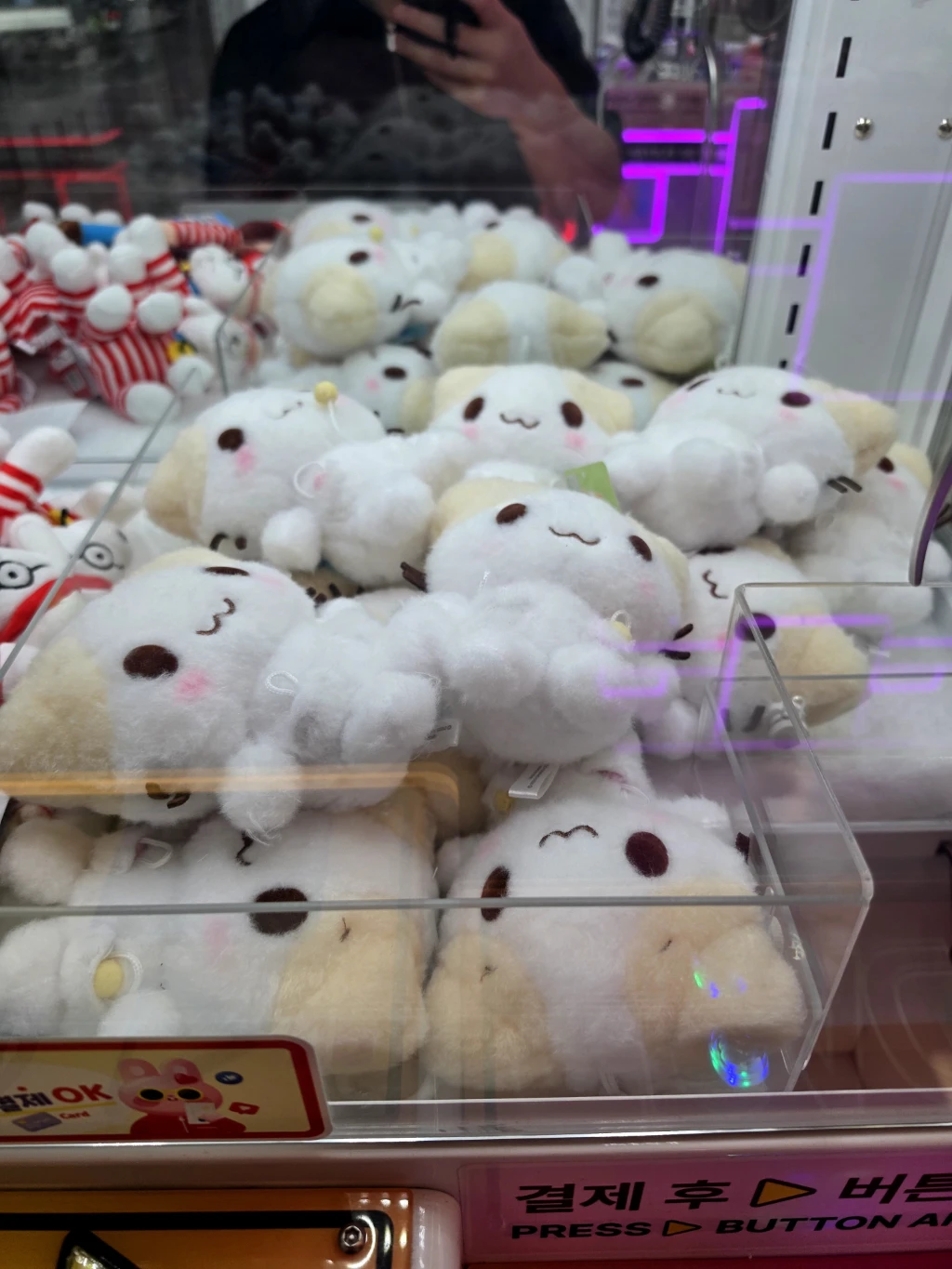 핑미핑미 인형뽑기 강남점 사용자 등록 사진