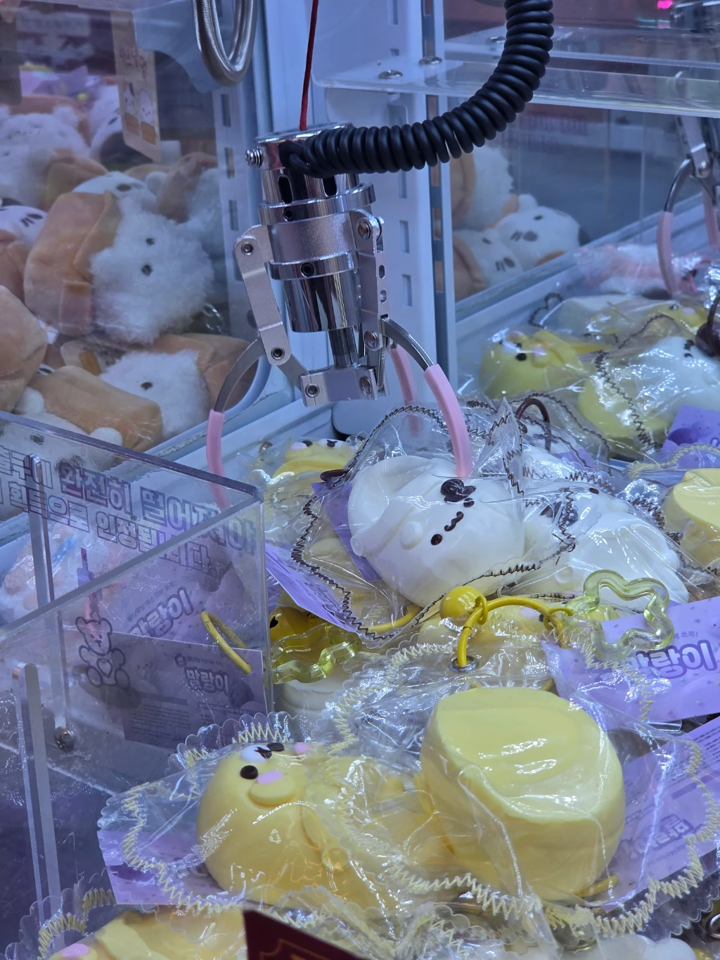 미니돌 강남 방문 후기 사진