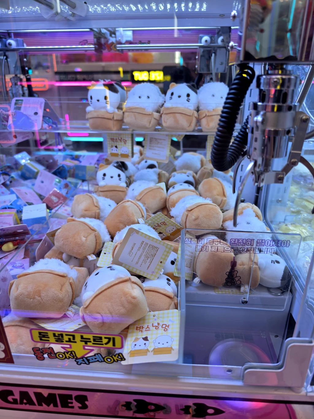 미니돌 강남 사용자 등록 사진