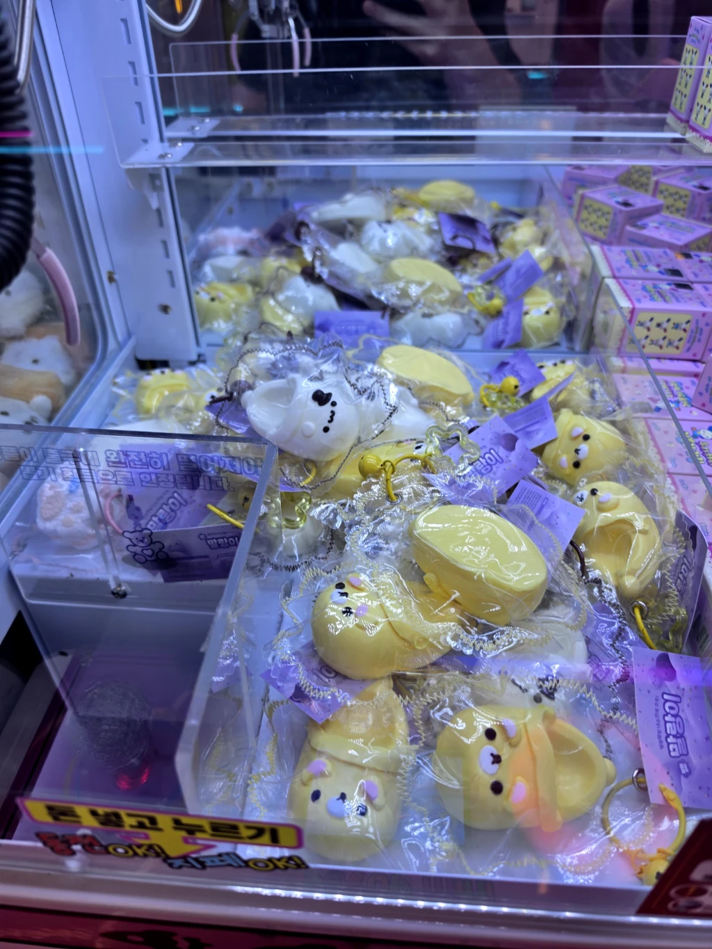 미니돌 강남 사용자 등록 사진