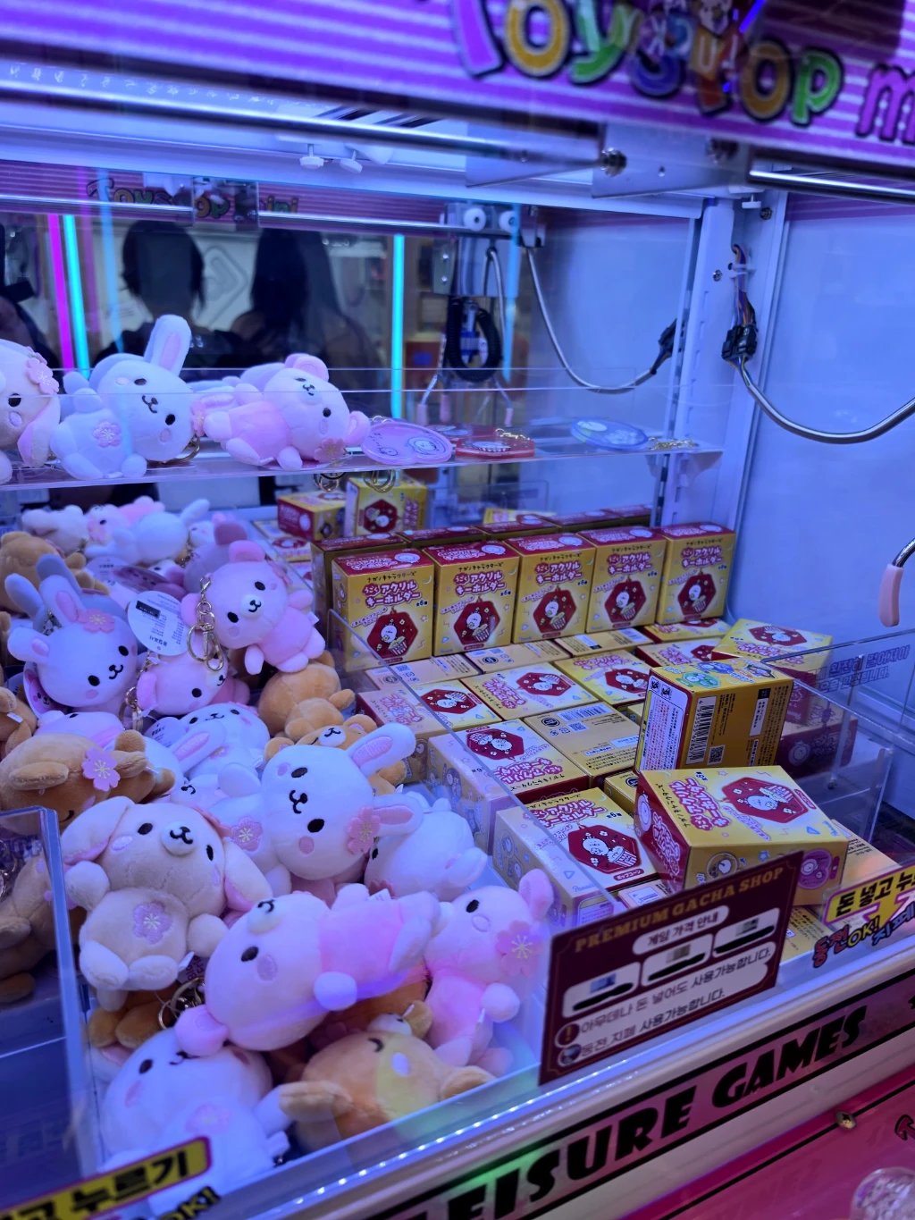 미니돌 강남 사용자 등록 사진