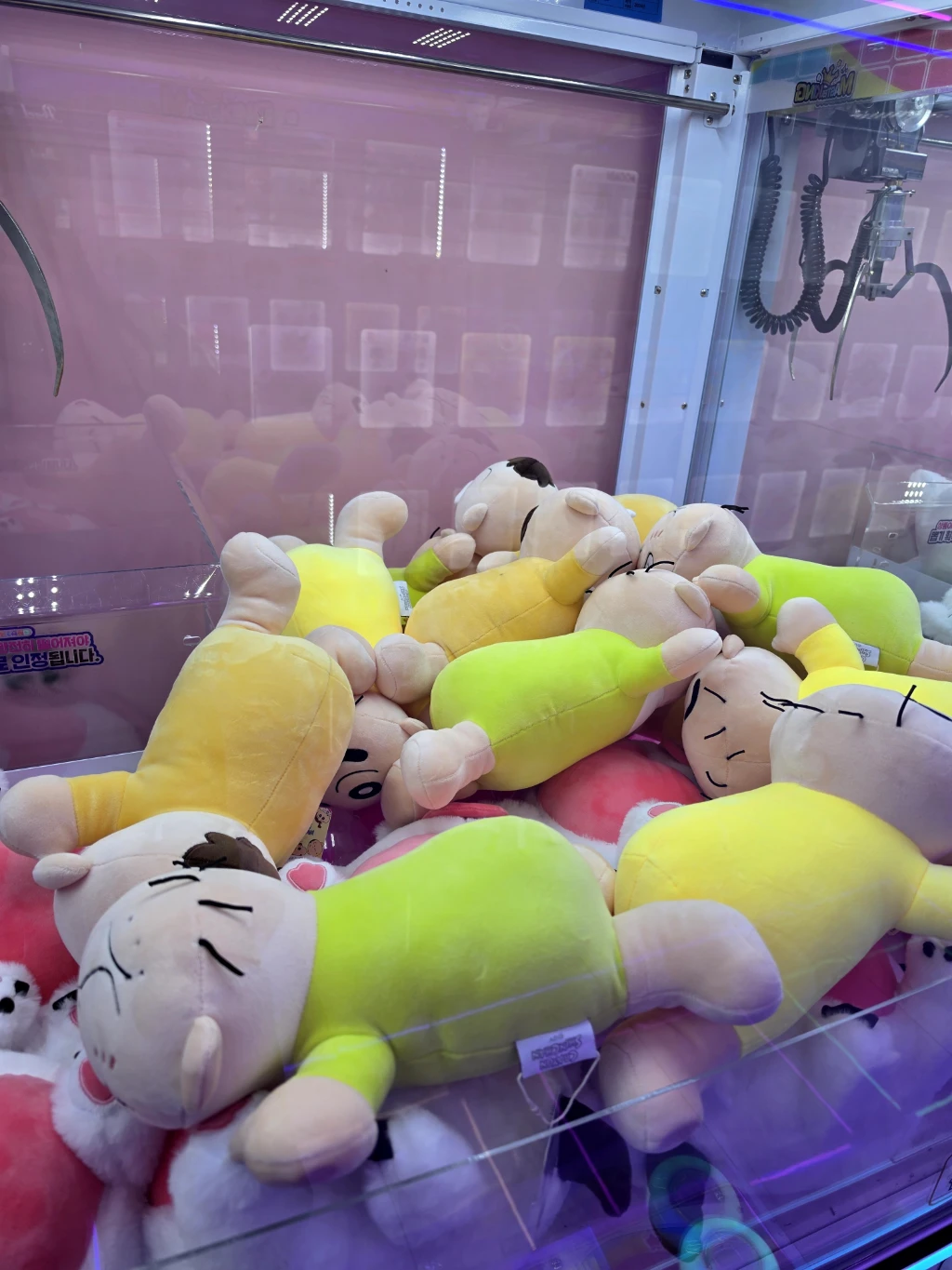 퍼니랜드 논현점 사용자 등록 사진