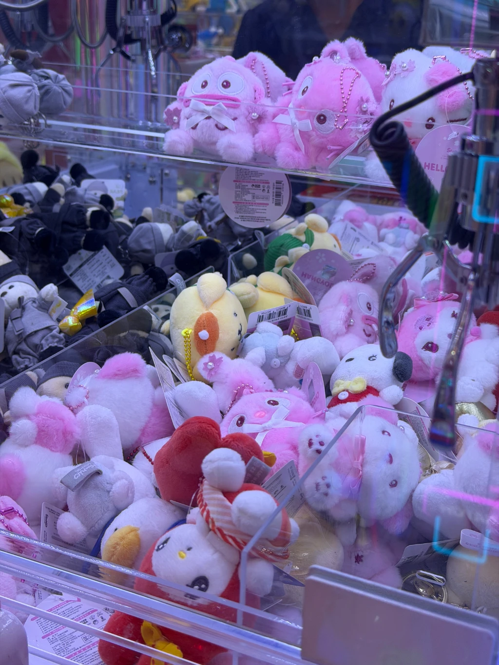 미니토이 사용자 등록 사진