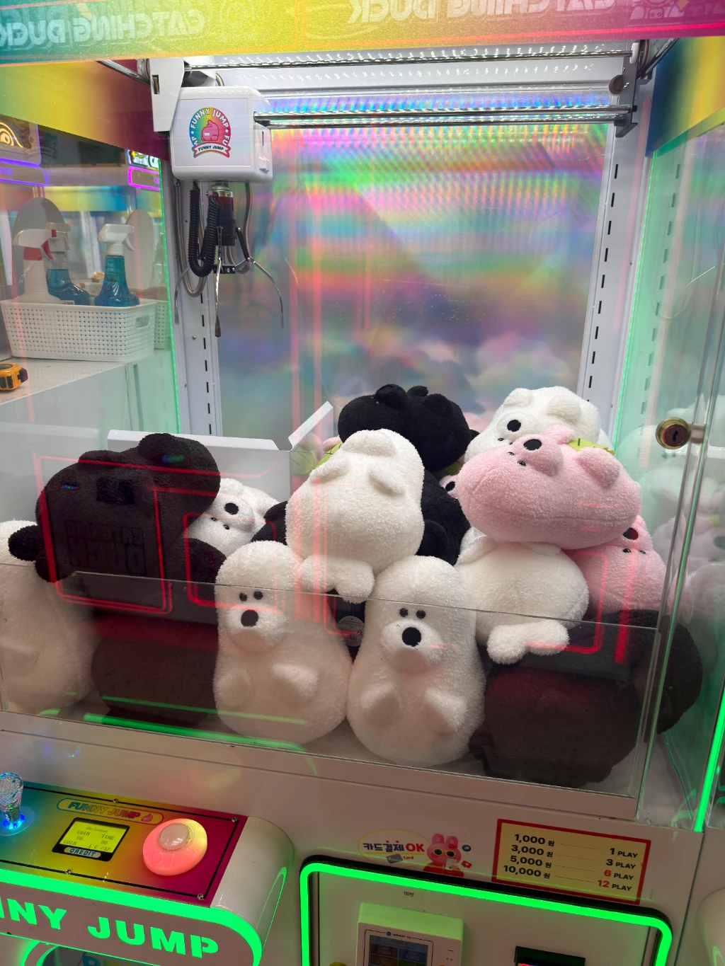 캐칭덕 사용자 등록 사진