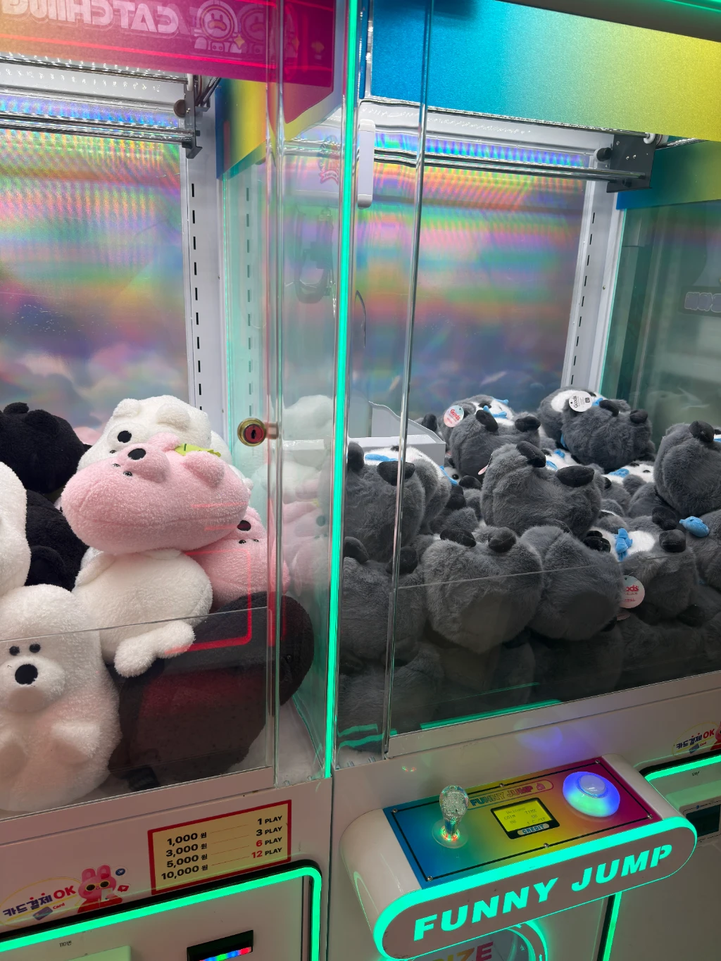 캐칭덕 사용자 등록 사진