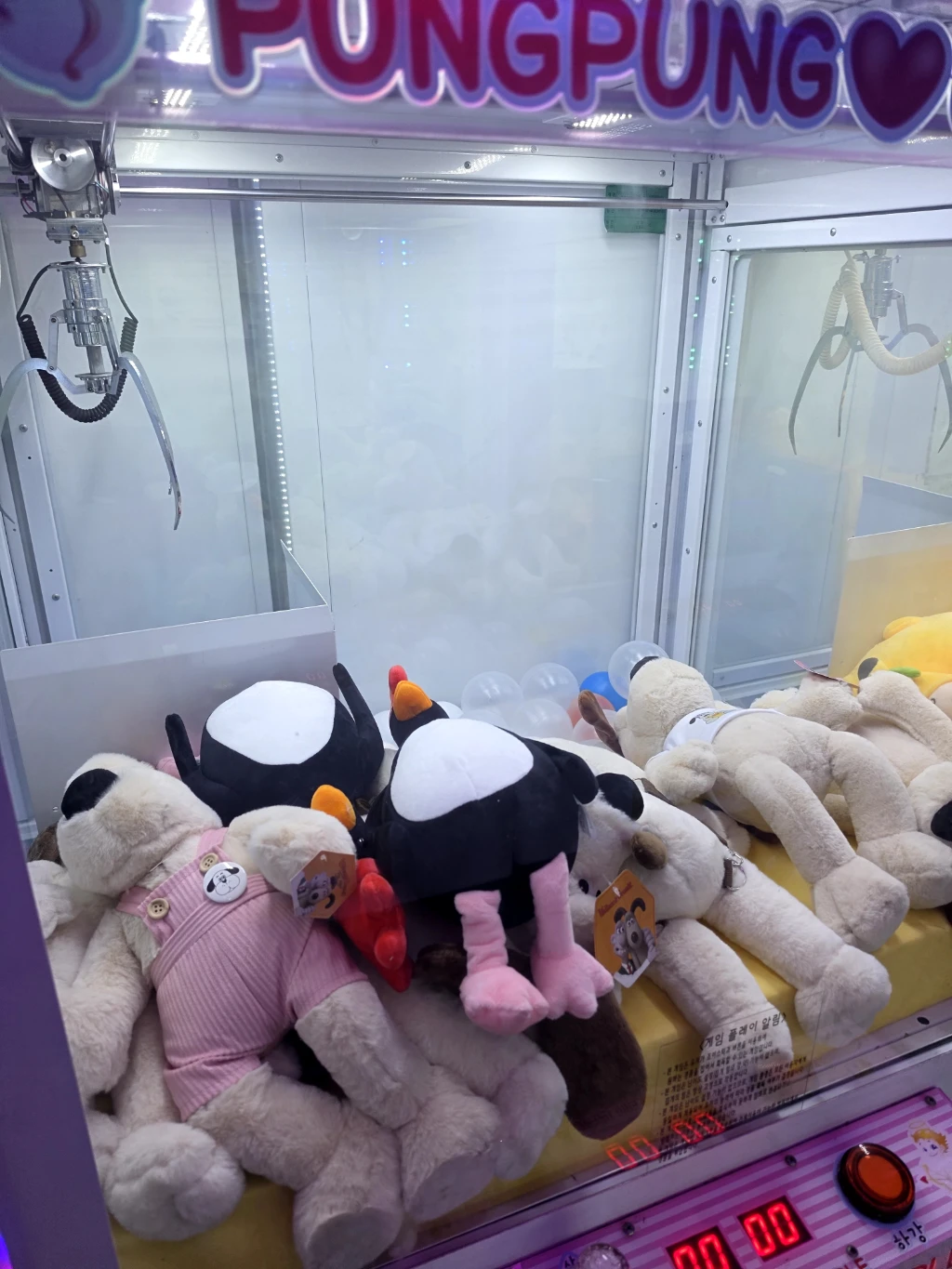 지구오락실 사용자 등록 사진
