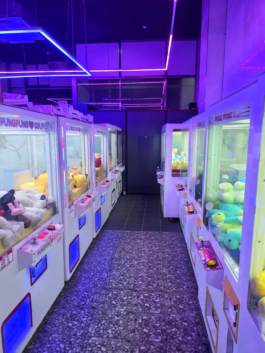 지구오락실 사용자 등록 사진