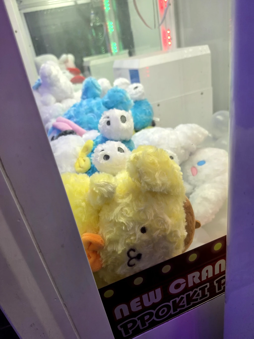 지구오락실 사용자 등록 사진