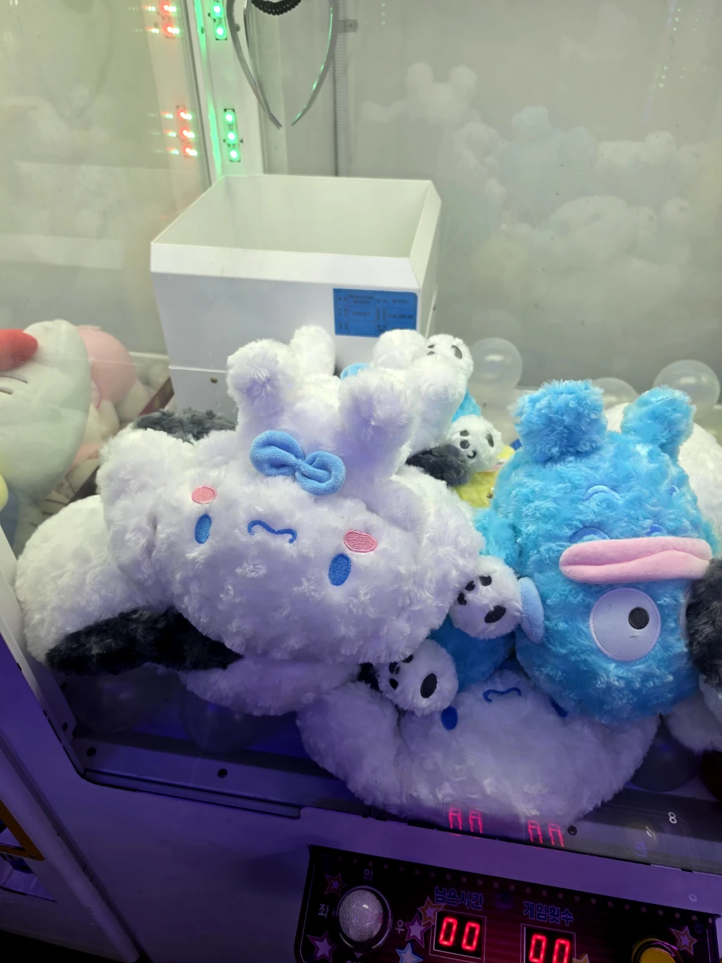 지구오락실 사용자 등록 사진