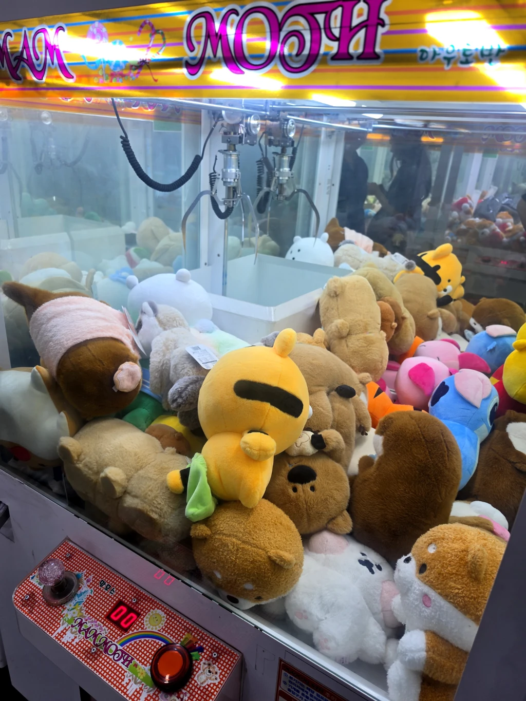돌잡이 사용자 등록 사진