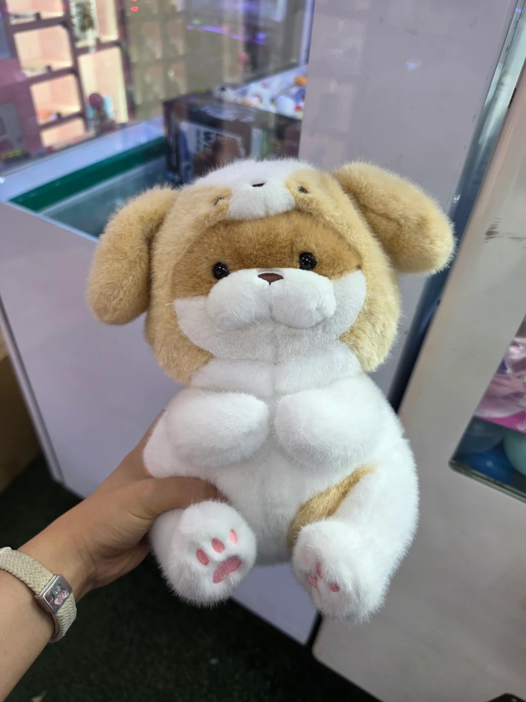 뽑기랜드 방문 후기 사진 2