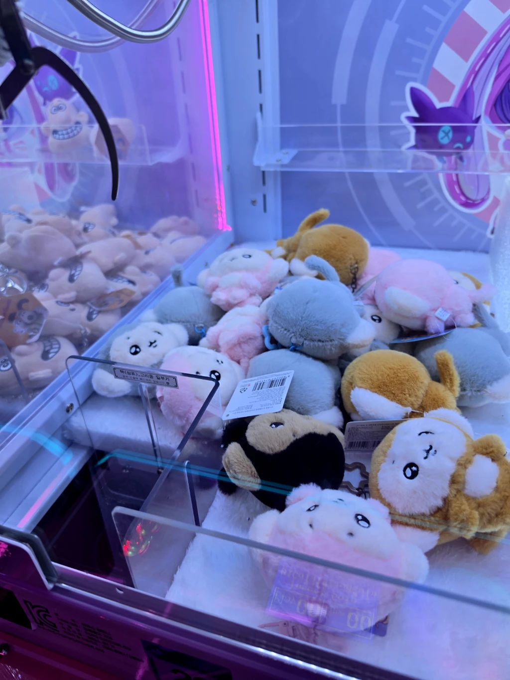 봉봉스테이션 사용자 등록 사진