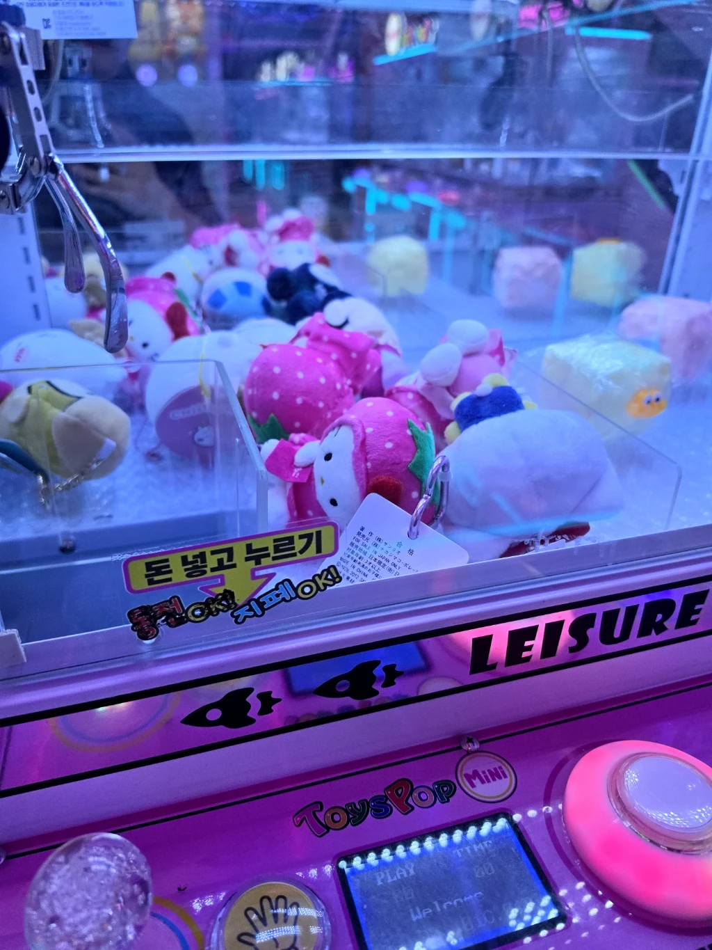 쥬쥬오락실 사용자 등록 사진