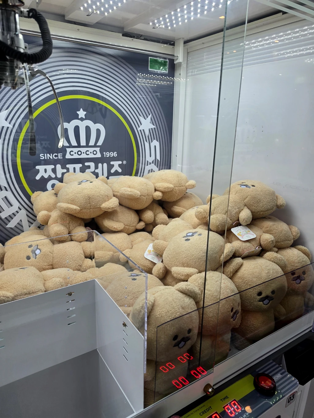 짱오락실 사용자 등록 사진