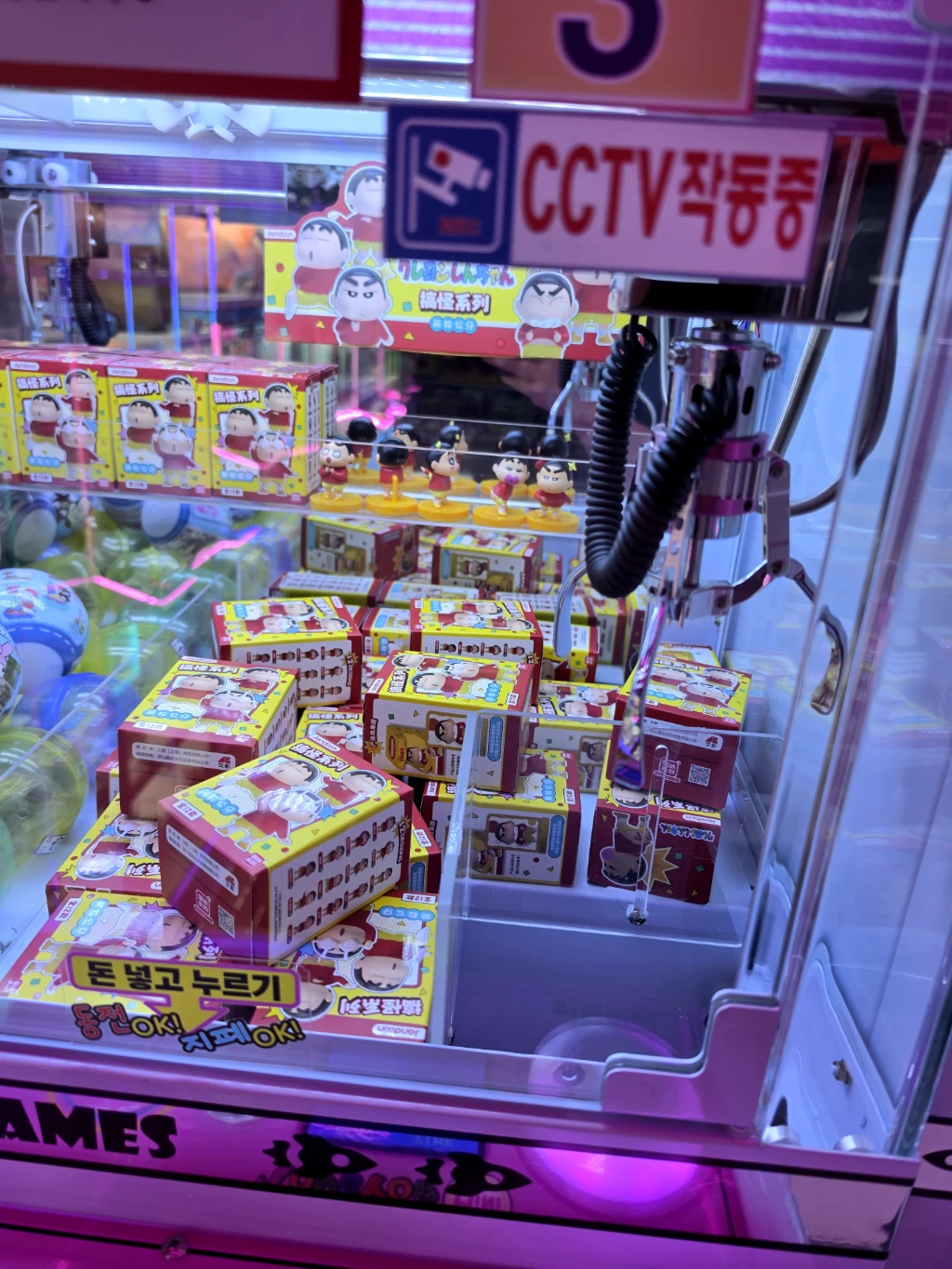 토이스타 사용자 등록 사진