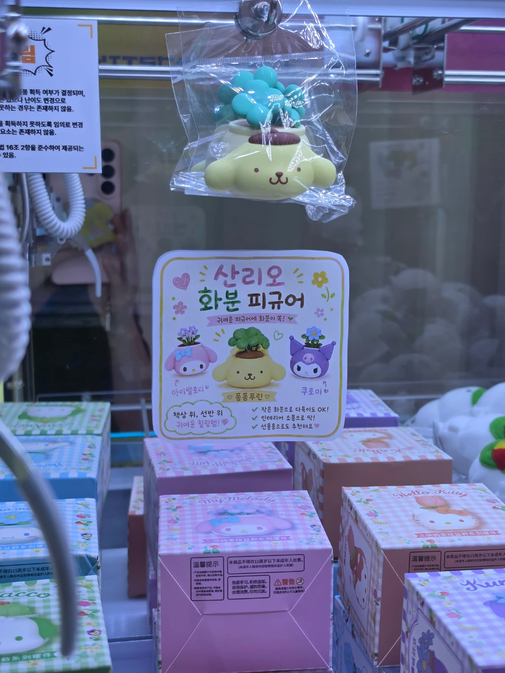 캑티가챠샵 선부점 방문 후기 사진