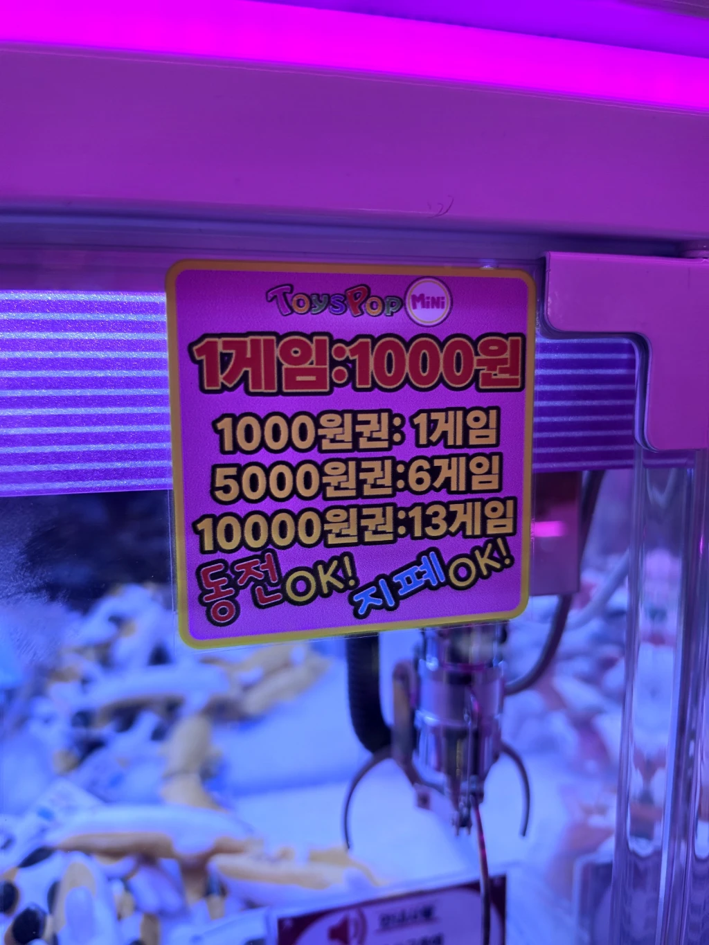 지구오락실 사용자 등록 사진