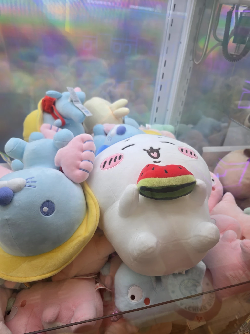 캐칭덕 용인죽전점 사용자 등록 사진
