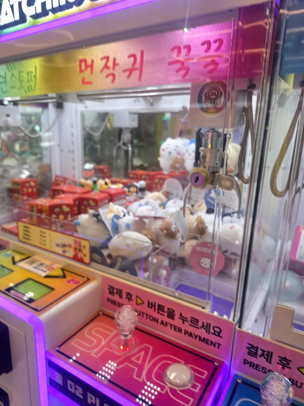 캐칭덕 용인죽전점 사용자 등록 사진