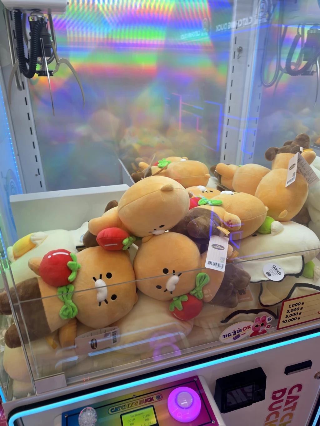 캐칭덕 용인죽전점 사용자 등록 사진