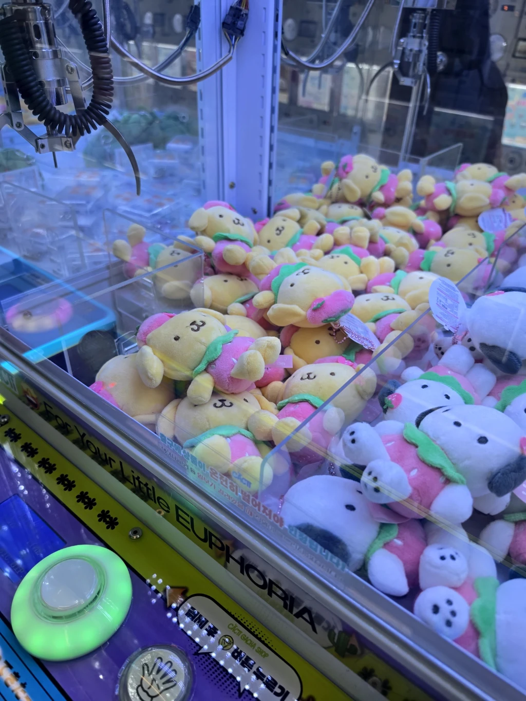 캑티 가챠샵 서현점 사용자 등록 사진
