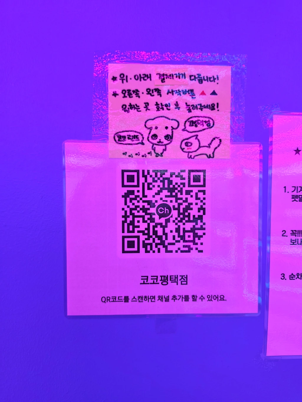 코코랜드 사용자 등록 사진