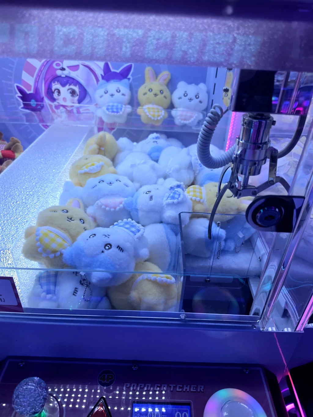지구오락실 사용자 등록 사진