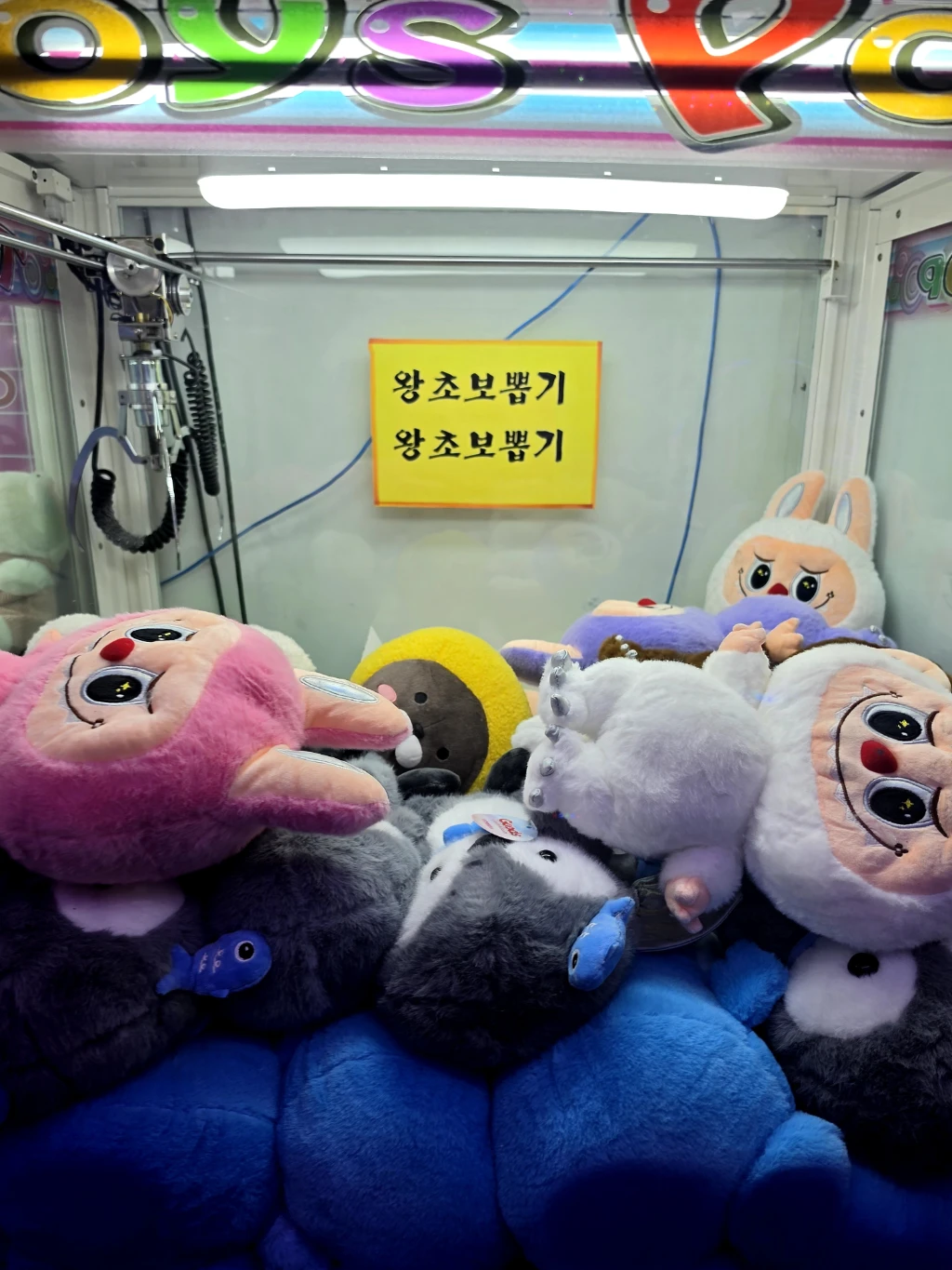 게임디 사용자 등록 사진