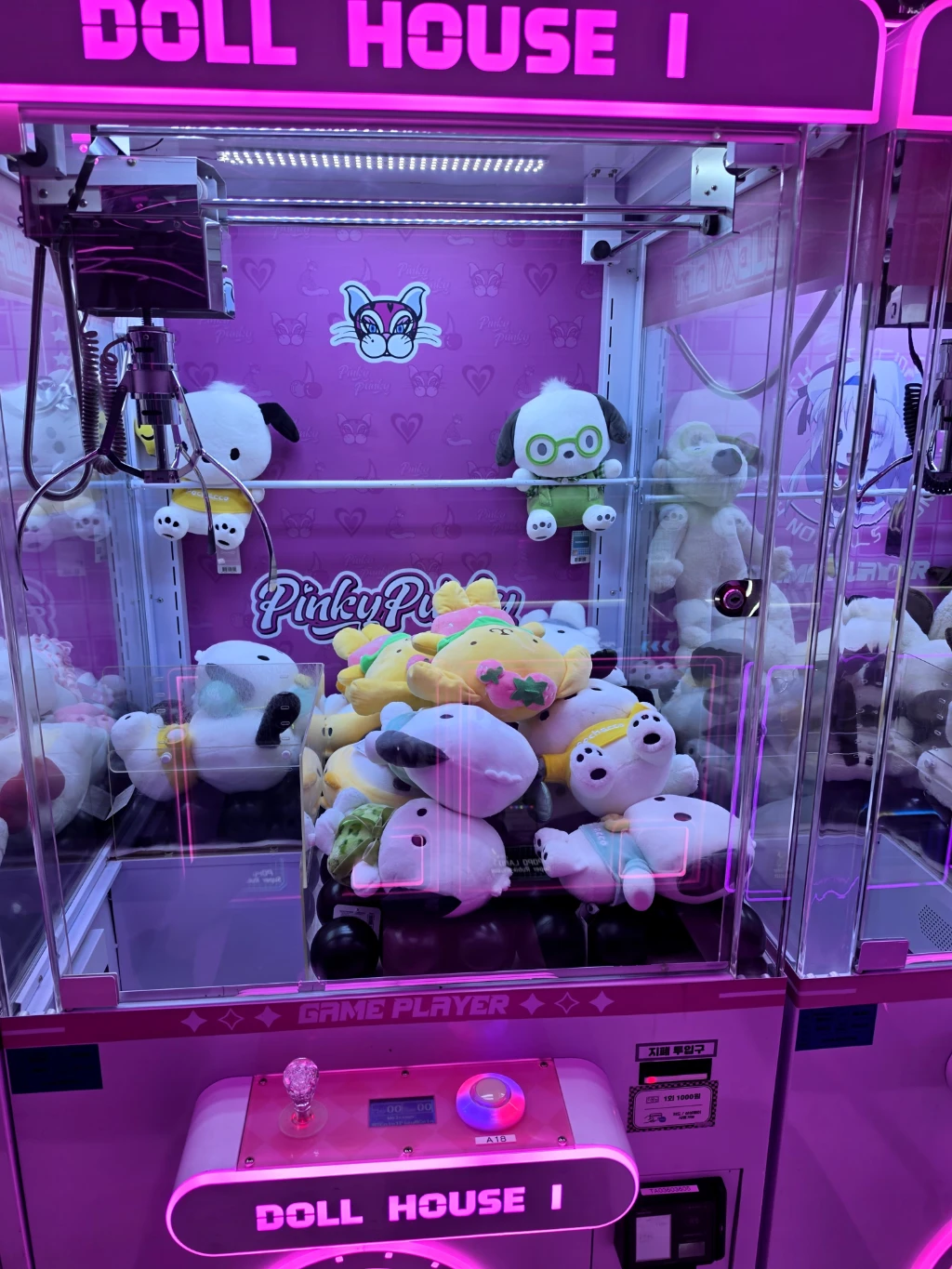 핑키펑키 광안점 사용자 등록 사진