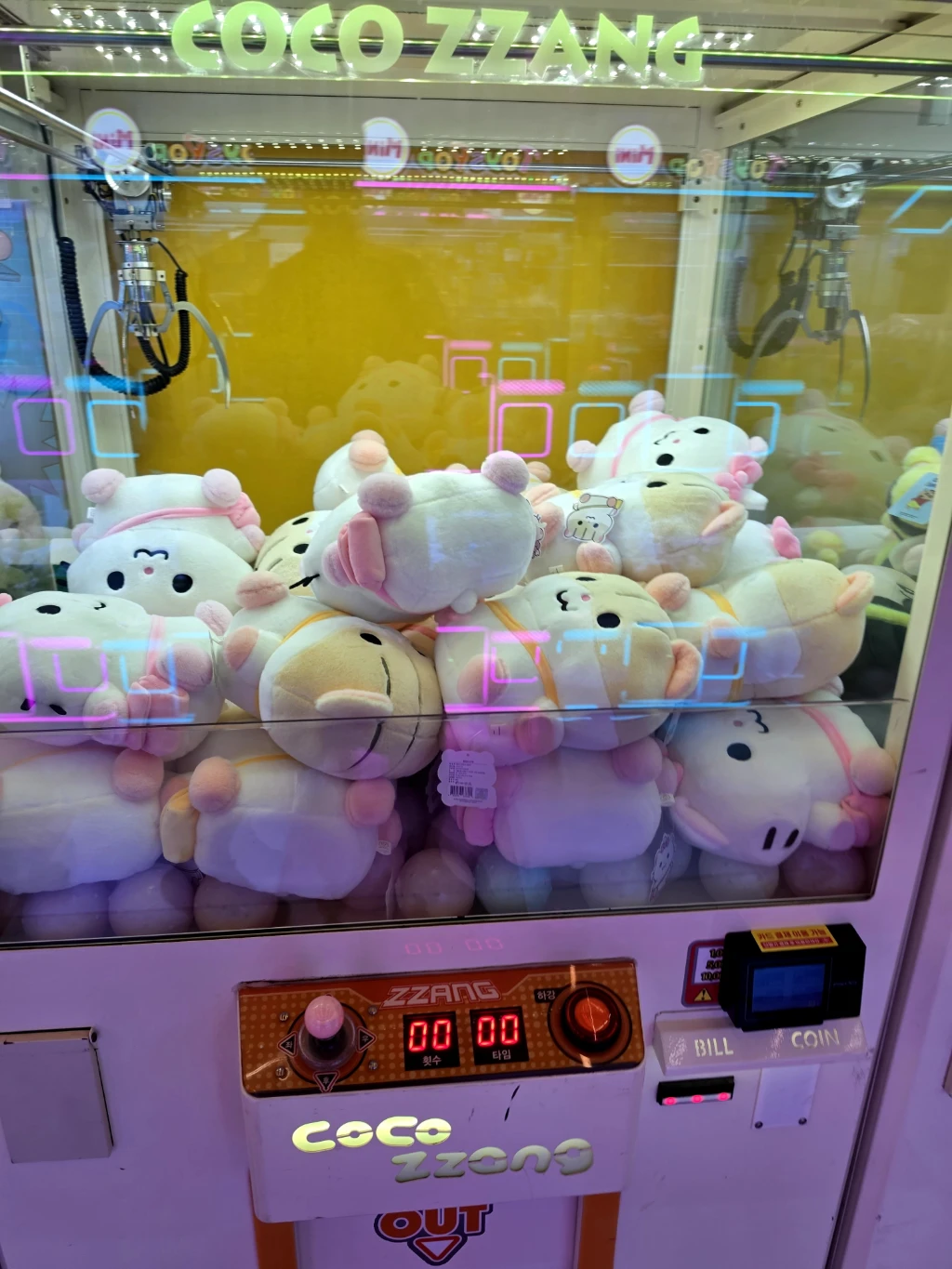 통키오락실 사용자 등록 사진