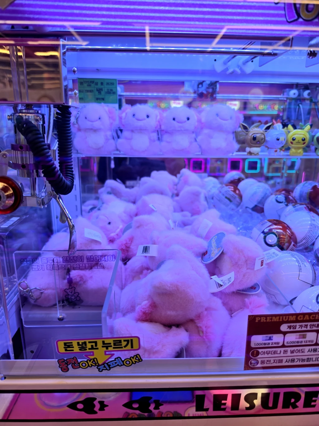 미니돌 사용자 등록 사진
