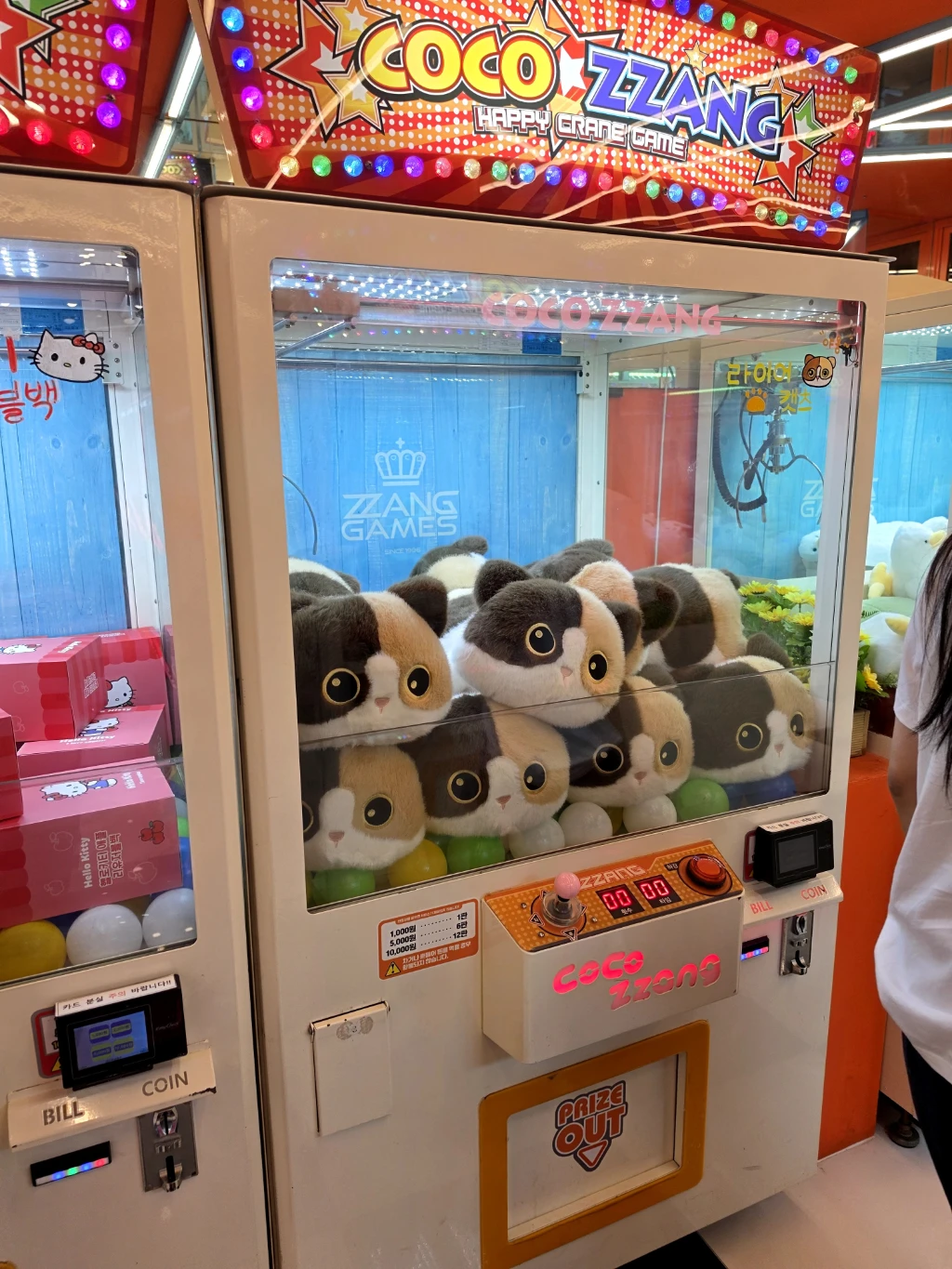 짱오락실 사용자 등록 사진