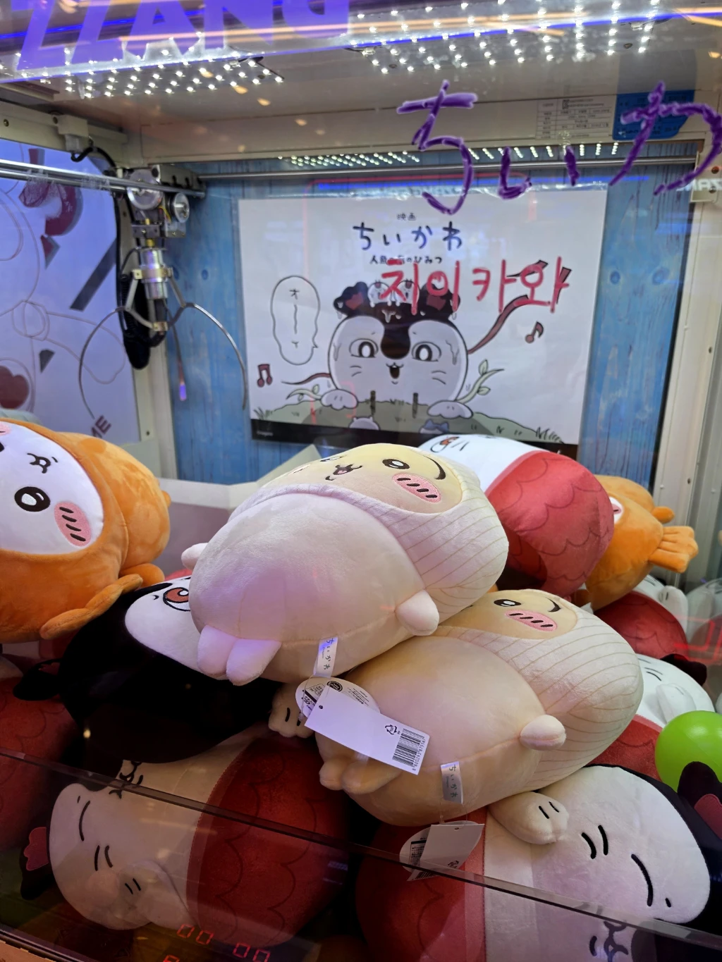 짱오락실 사용자 등록 사진