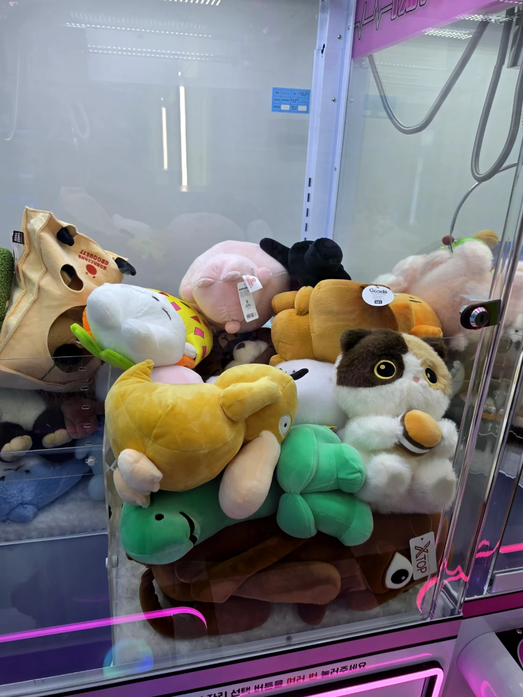 러키비키 청주송절동점 사용자 등록 사진