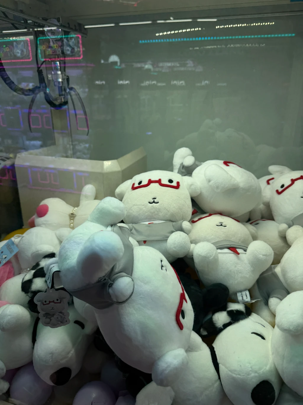 사이버존 사용자 등록 사진