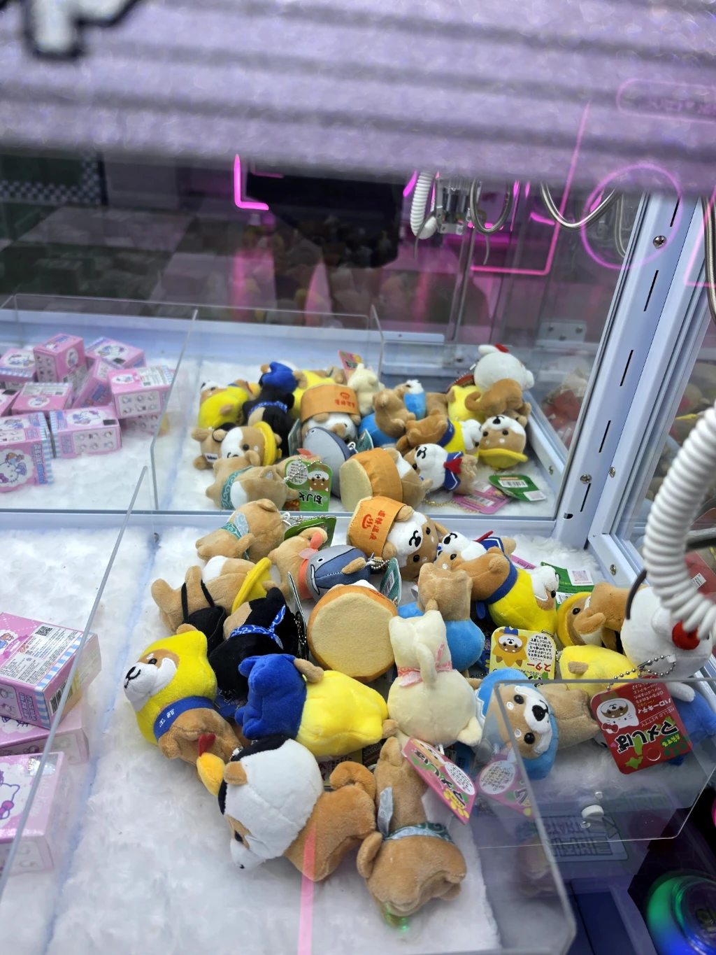LUKY VIKY 세종나성점 매장 사진