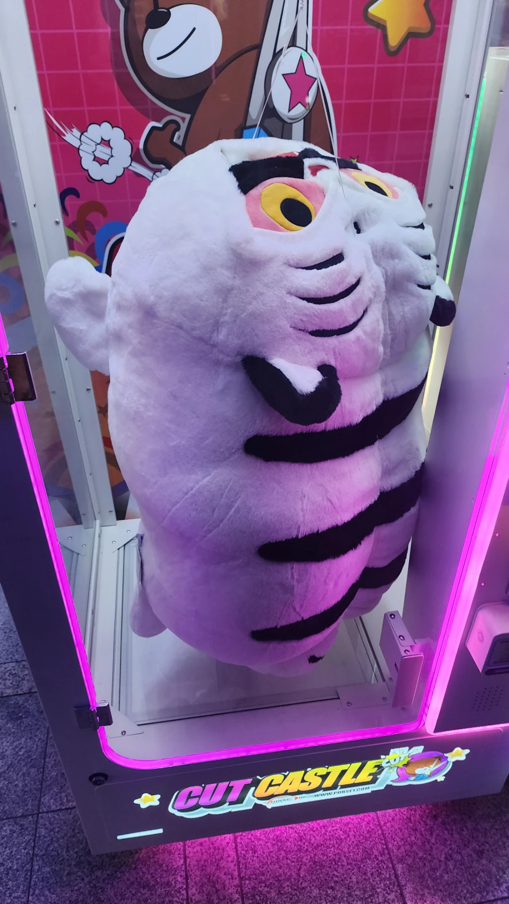 신탄진 오락실 매장 사진