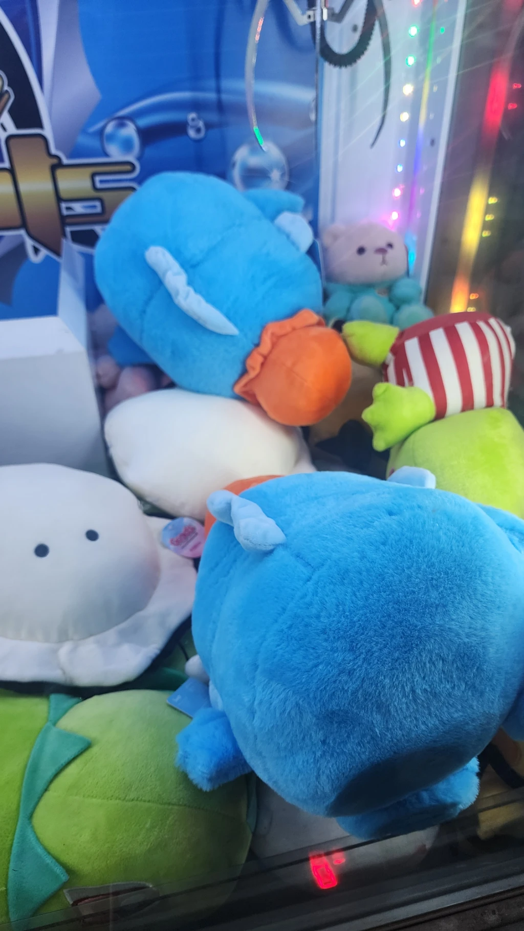 보물창고 매장 사진