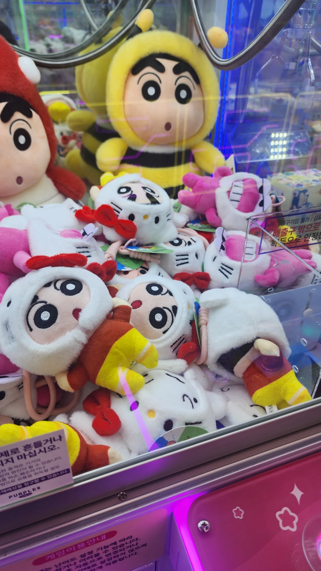 퍼플즈 매장 사진