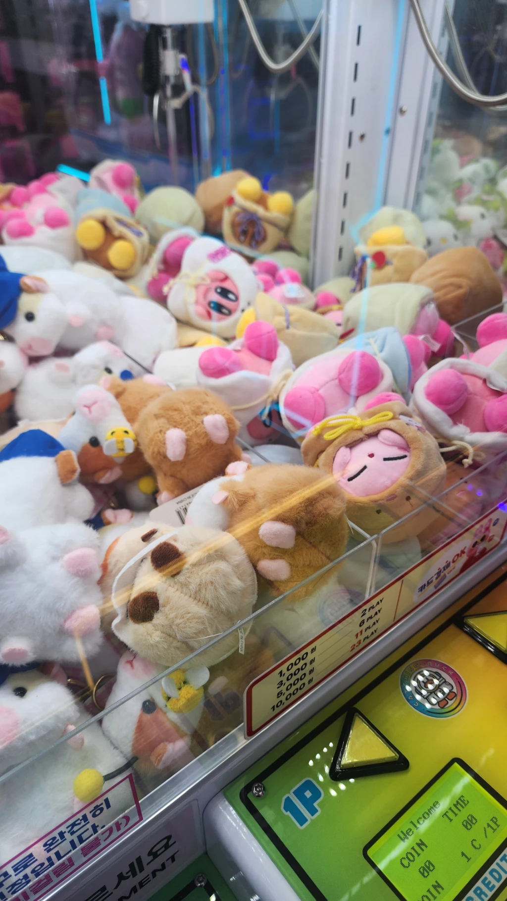 코코랜드 매장 사진