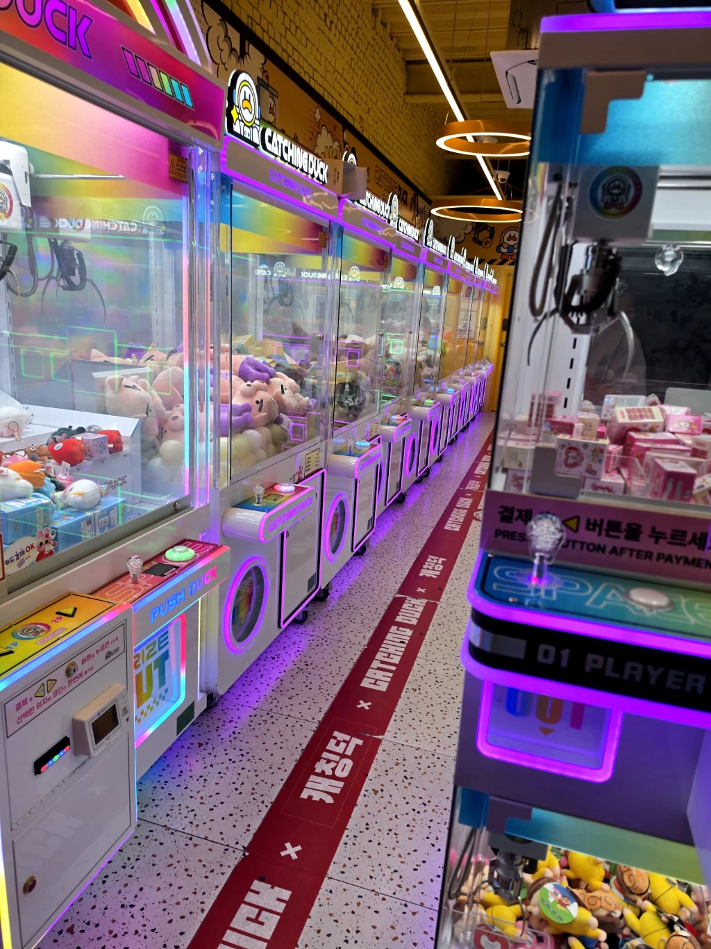캐칭덕 매장 사진